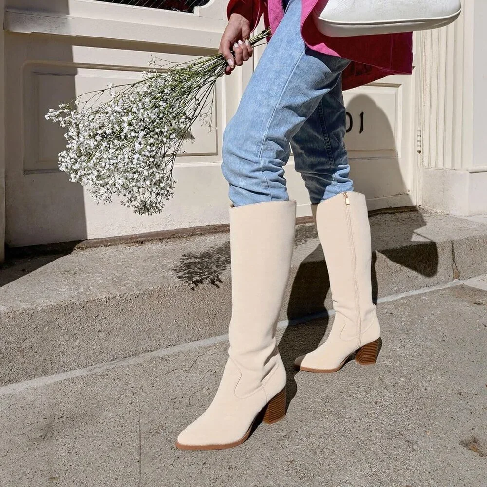 Womens Suede Beige Side Zipper Knee High Pointed Toe Chunky Heel Tall Boots